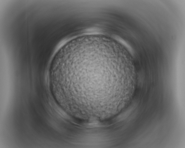 X0000113981467200910091308