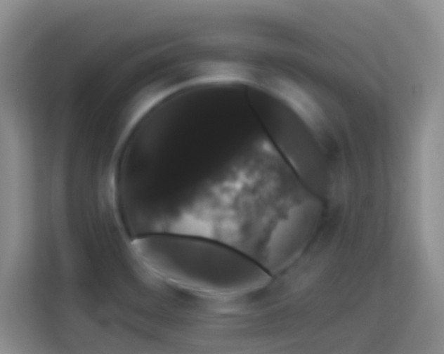 X0000113981468200910091308