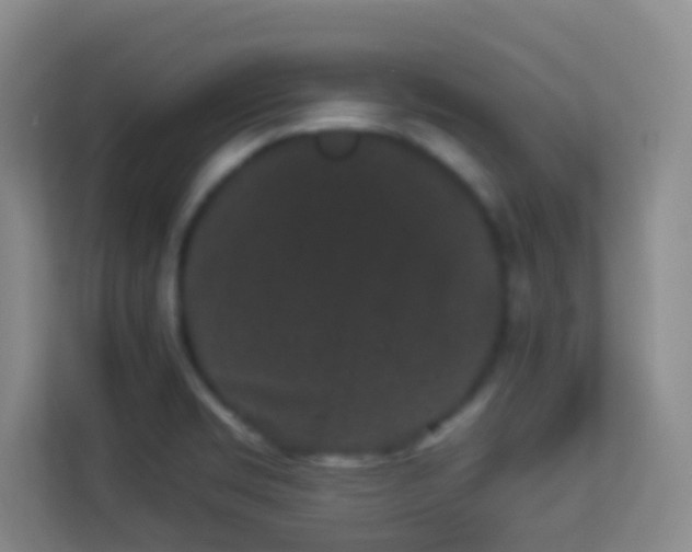 X0000113981469200910091308