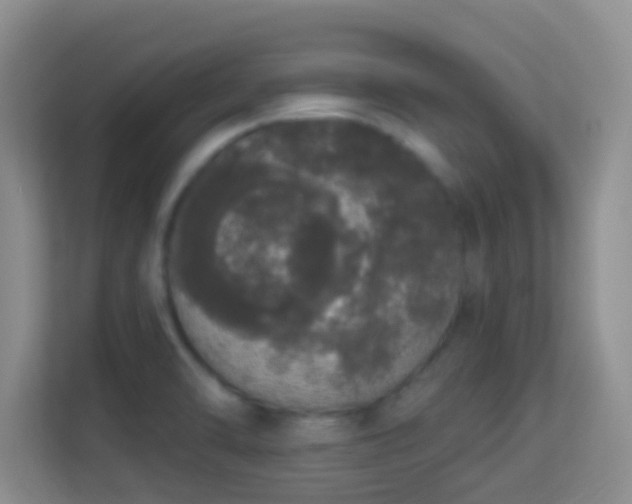 X0000113981470200910091308