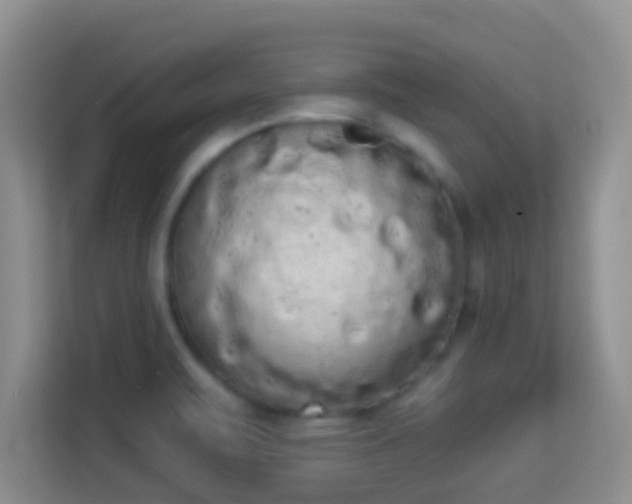 X0000113981471200910091308