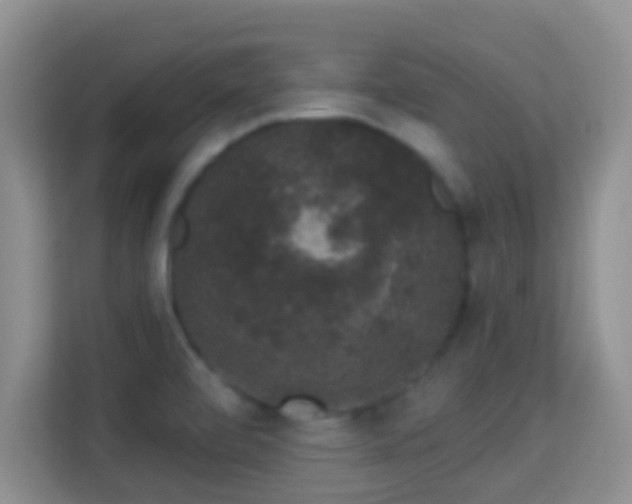 X0000113981472200910091308