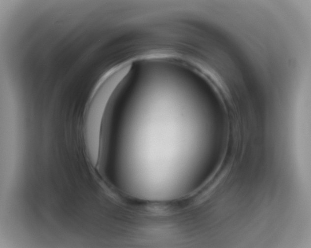 X0000113981473200910091308