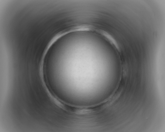 X0000113981475200910091308