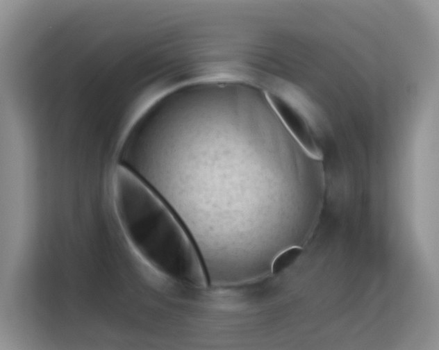 X0000113981476200910091308