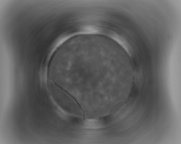 X0000113981477200910091308