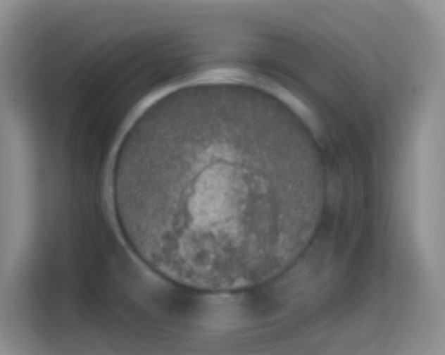 X0000113981478200910091308