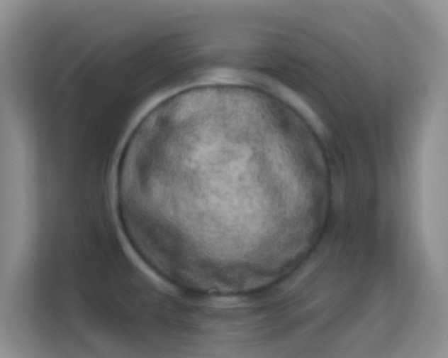 X0000113981479200910091308