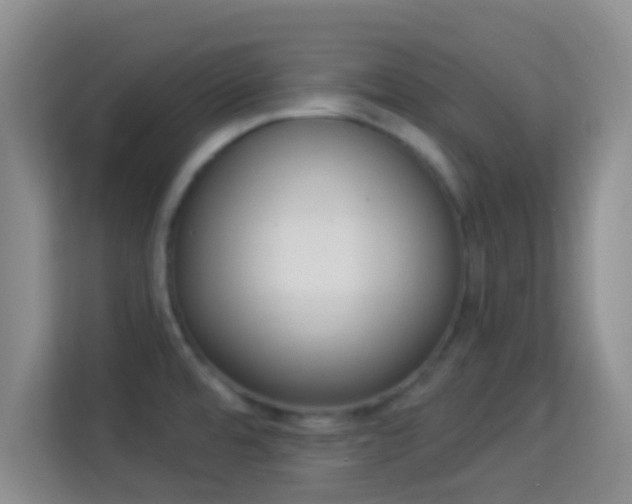 X0000113981480200910091308