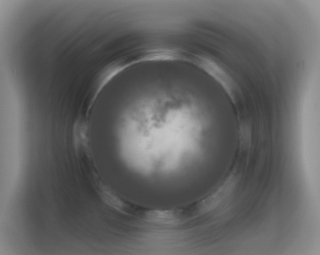 X0000113981481200910091308