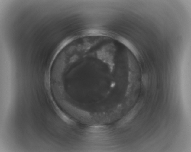 X0000113981482200910091308