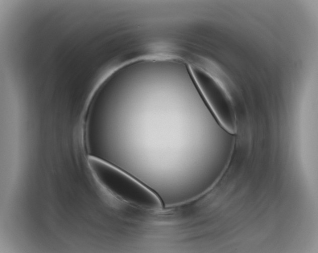 X0000113981484200910091308