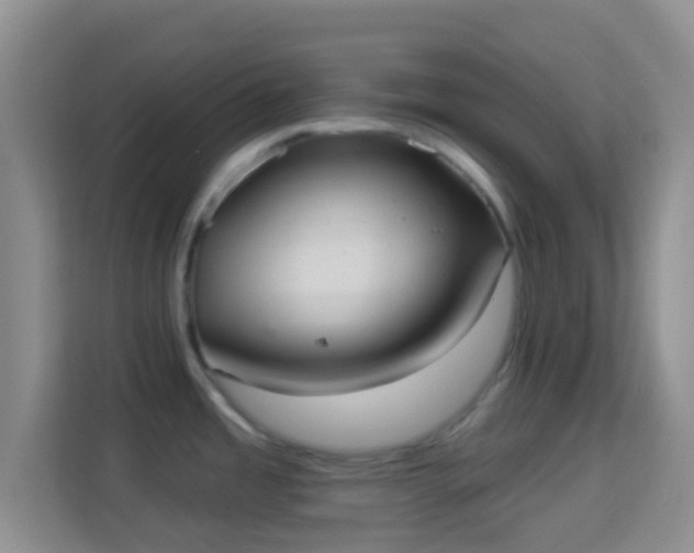 X0000113981485200910091308