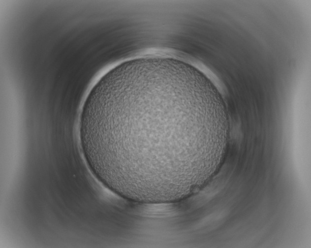 X0000113981486200910091308