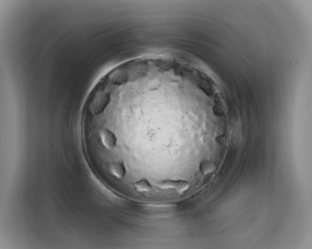 X0000113981487200910091308