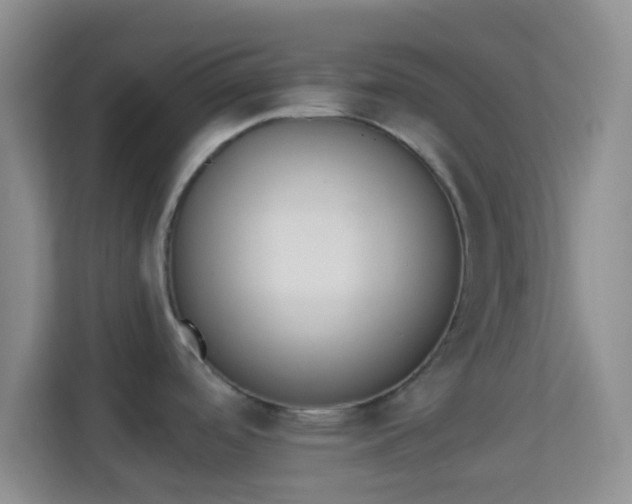 X0000113981488200910091308