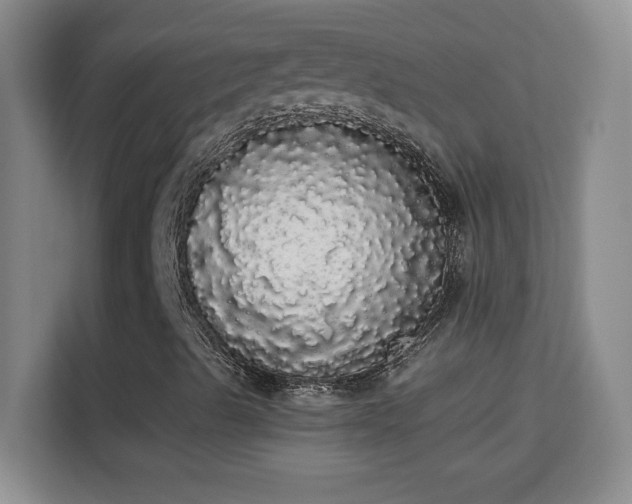 X0000113981489200910091307