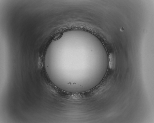 X0000113981491200910091307