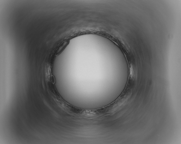 X0000113981492200910091307