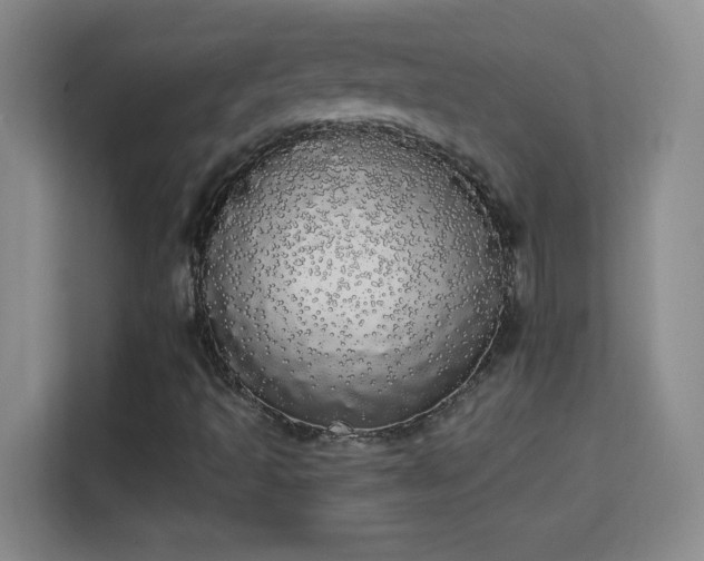 X0000113981493200910091307