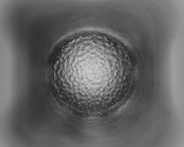 X0000113981494200910091307