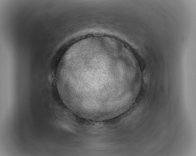 X0000113981495200910091307