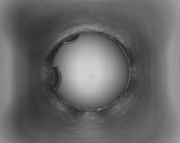 X0000113981496200910091307