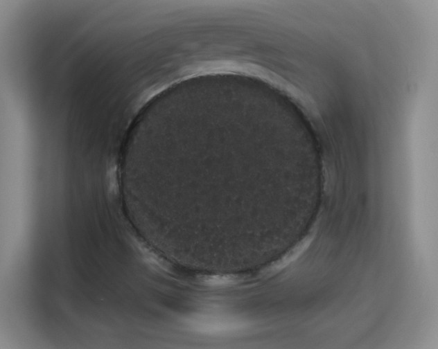 X0000113981497200910091307