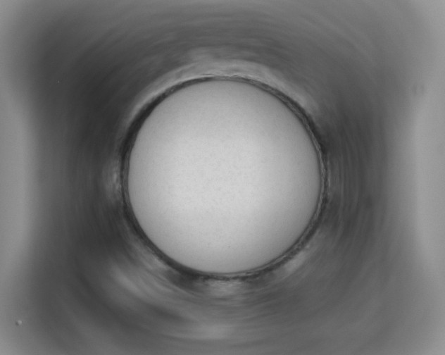 X0000113981498200910091307