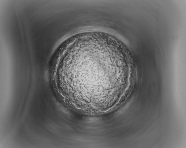 X0000113981501200910091307