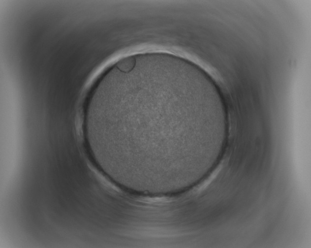 X0000113981502200910091307