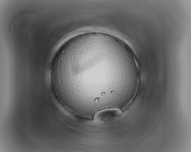 X0000113981503200910091307