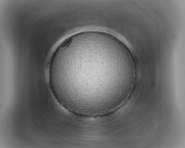 X0000113981504200910091307