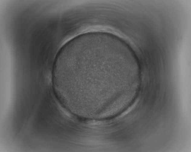 X0000113981505200910091307