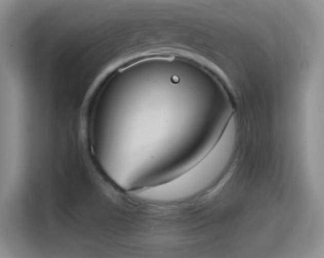 X0000113981506200910091307