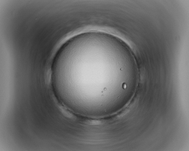 X0000113981507200910091307