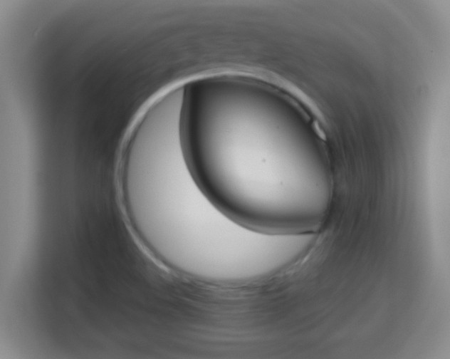 X0000113981508200910091307