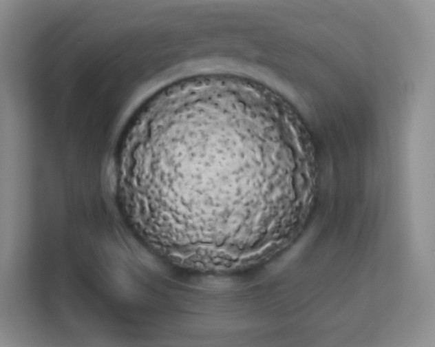 X0000113981509200910091307