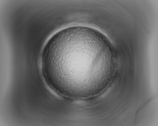 X0000113981511200910091307