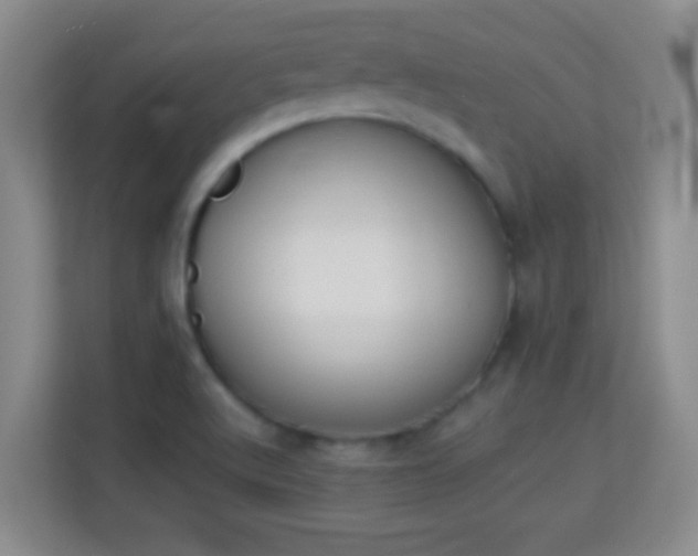 X0000113981512200910091307