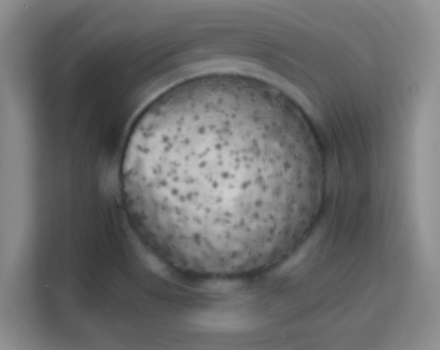 X0000113981513200910091307