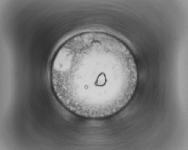 X0000113981514200910091307