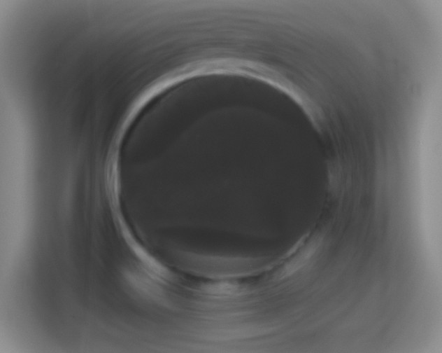 X0000113981515200910091307