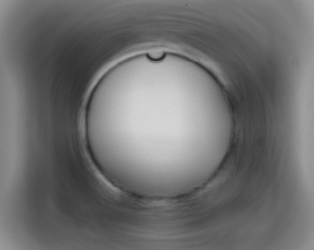 X0000113981516200910091307