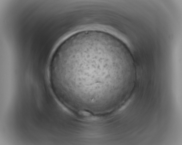 X0000113981517200910091307