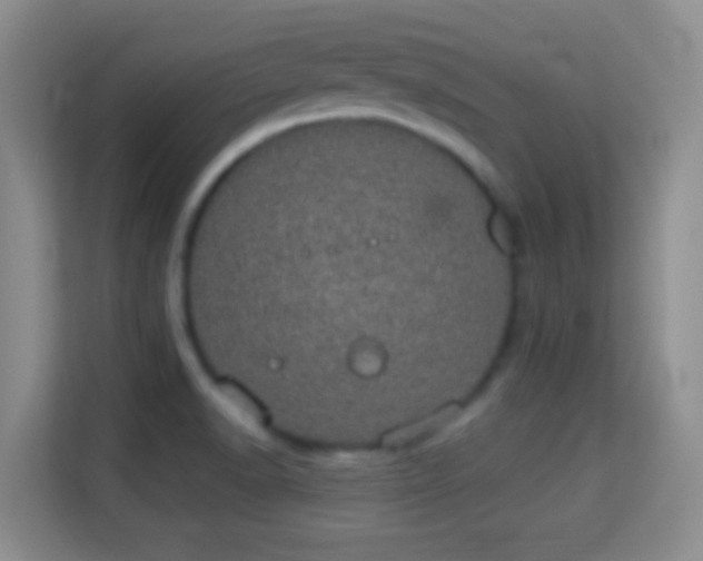 X0000113981518200910091307