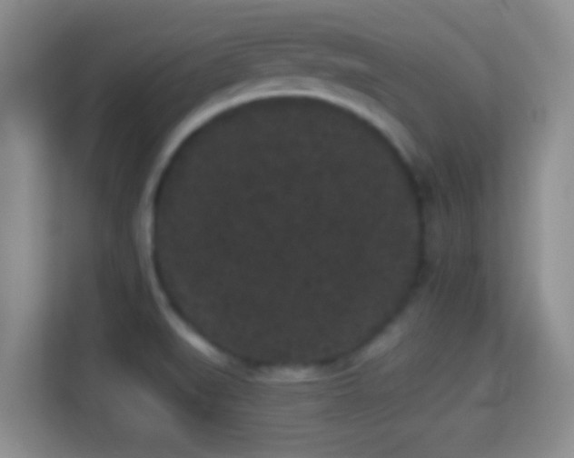 X0000113981519200910091307