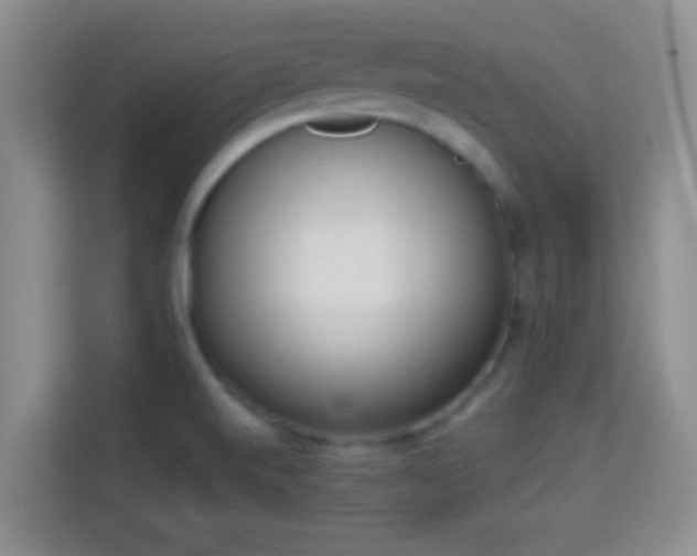 X0000113981520200910091307