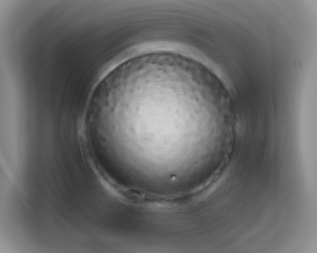 X0000113981521200910091307