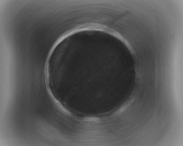 X0000113981522200910091307